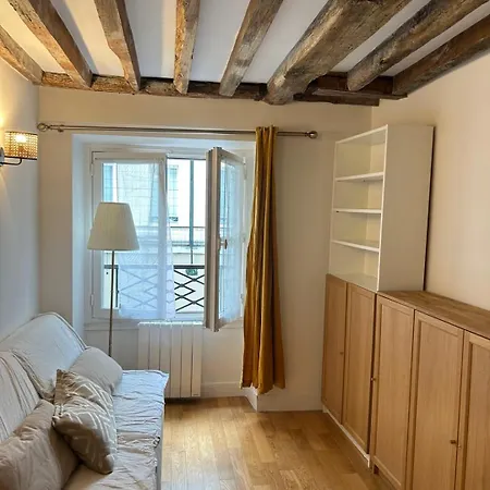 Spacious Parisian Flat Louvre Steps Eiffel Tower Access *