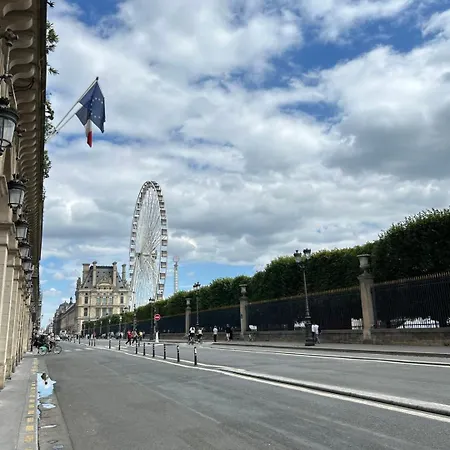 Spacious Parisian Flat Louvre Steps Eiffel Tower Access
