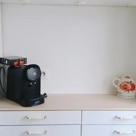 Spacious Parisian Flat Louvre Steps Eiffel Tower Access Lejlighed