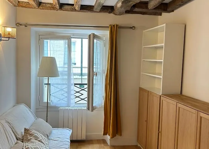 Spacious Parisian Flat Louvre Steps Eiffel Tower Access *