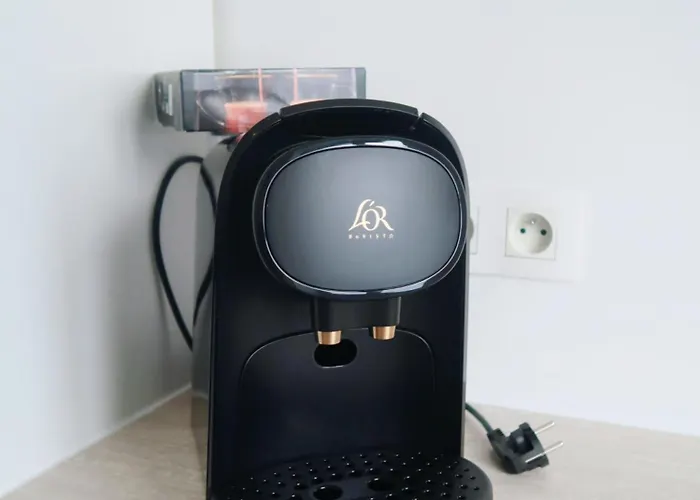 Spacious Parisian Flat Louvre Steps Eiffel Tower Access * Παρίσι