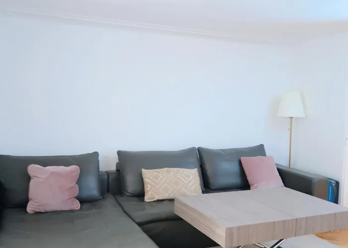 Spacious Parisian Flat Louvre Steps Eiffel Tower Access Paris