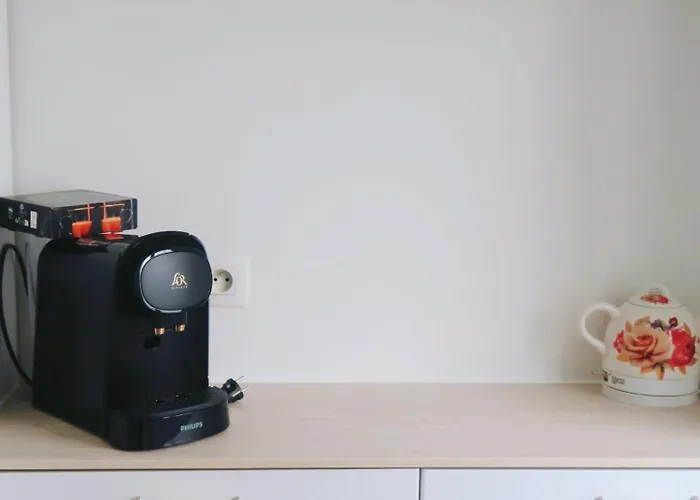 Spacious Parisian Flat Louvre Steps Eiffel Tower Access 아파트