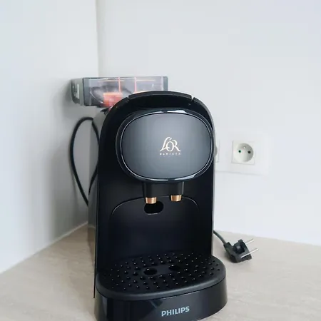 Spacious Parisian Flat Louvre Steps Eiffel Tower Access * Parigi