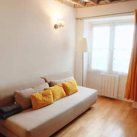 Spacious Parisian Flat Louvre Steps Eiffel Tower Access Apartment *