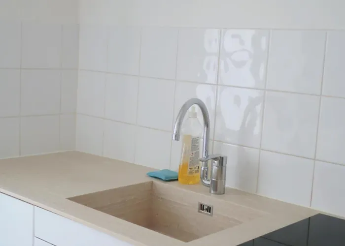 Spacious Parisian Flat Louvre Steps Eiffel Tower Access * Paris